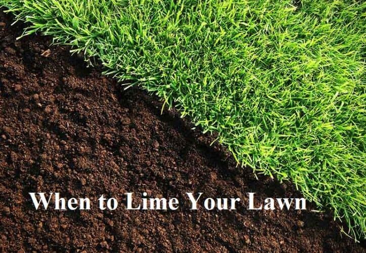 When to Lime Your Lawn - Liming Lawn Tips
