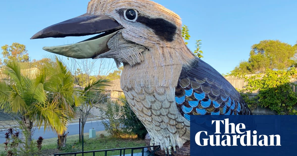 Giant kookaburra built by Australian man during lockdown: 'People adore it'