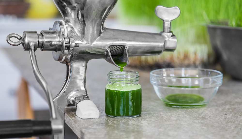 Best Wheatgrass Juicer Reviews 2020: Superfood At Your Fingertips