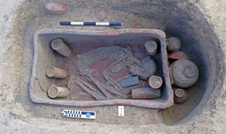Ancient Egypt: Archeologist discovers dozens of rare graves