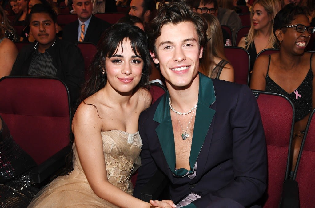 Camila Cabello Gets Cozy With Shawn Mendes & Her Dogs at Home: Photo