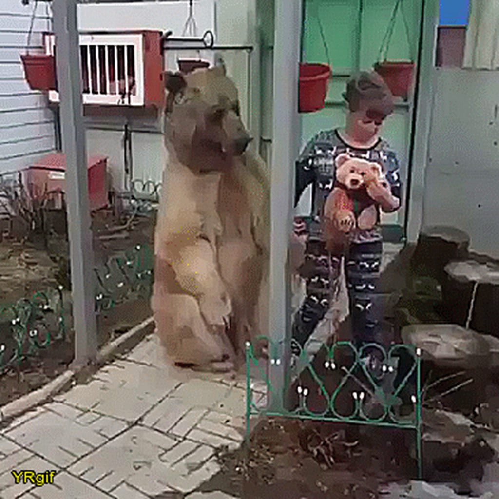 Big cat sharing food with his human
