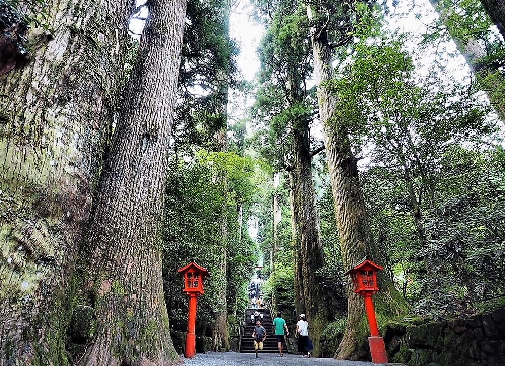 19 Unmissable Things to Do in Hakone