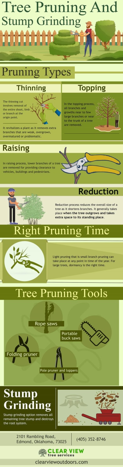 Tree Pruning And Stump Grinding
