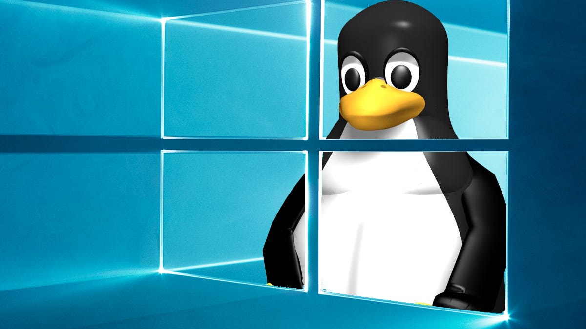 Porting Linux's eBPF to Windows 10 and Windows Server