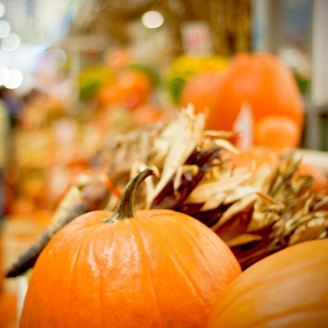 The Best Fall Festivals in PA - The AllTheRooms Blog