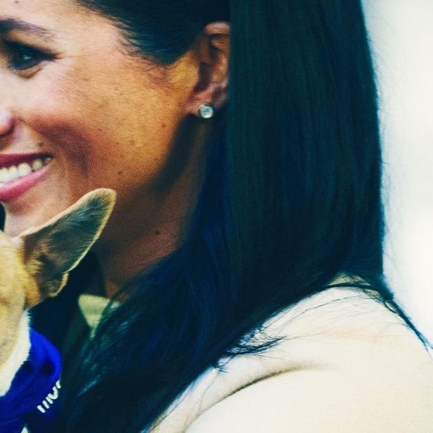 Meghan Markle Met Some Extremely Cute Rescue Dogs