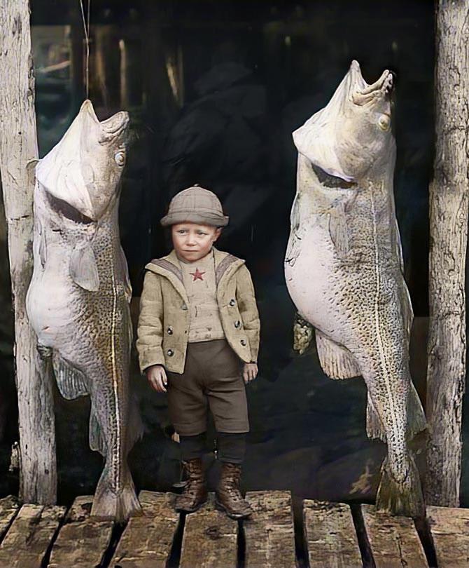 Posing with some cod fish in rural Newfoundland, Canada in 1900