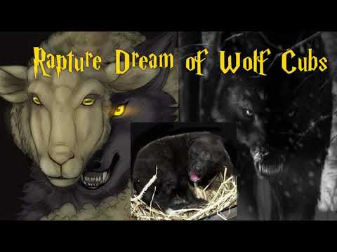 Rapture Dream/Warning: Beware of Wolf Pups