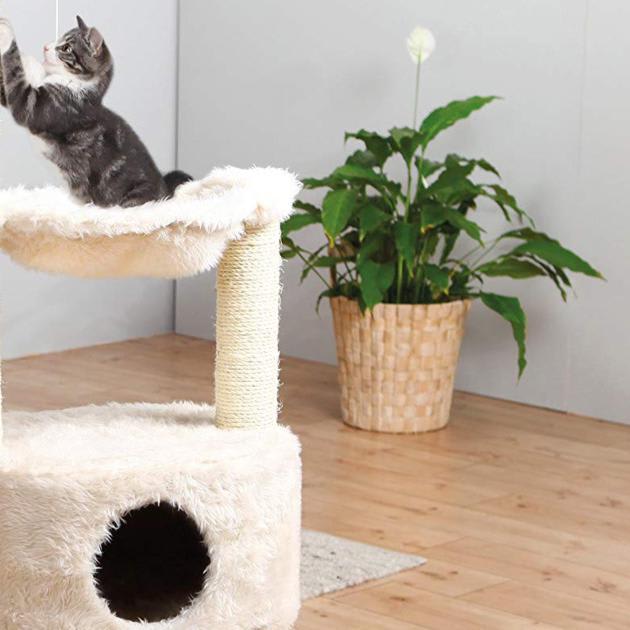 The Best Cat Trees on Amazon, According to Hyperenthusiastic Reviewers