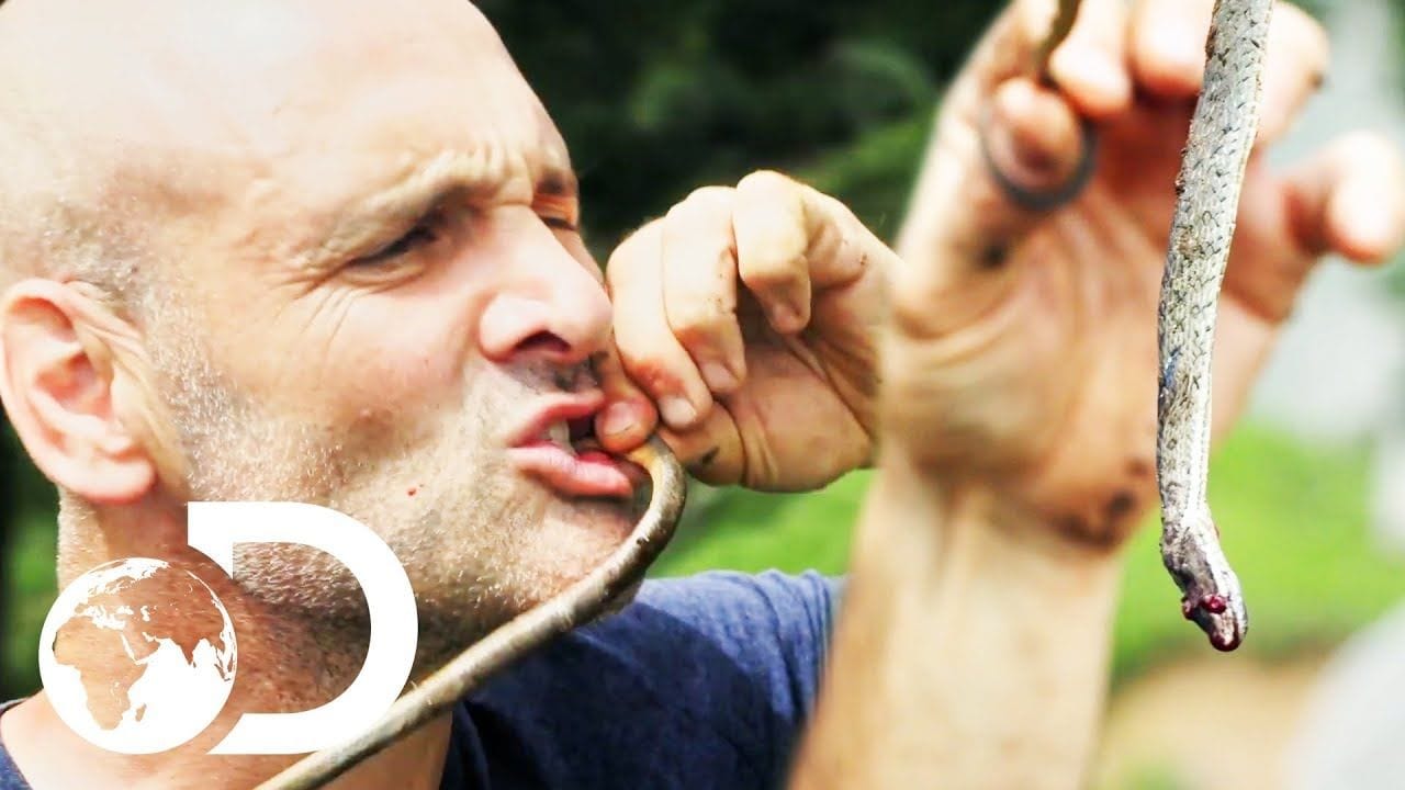 Ed Eats A Raw Snake To Survive In The Himalayan Wilderness | Ed ...