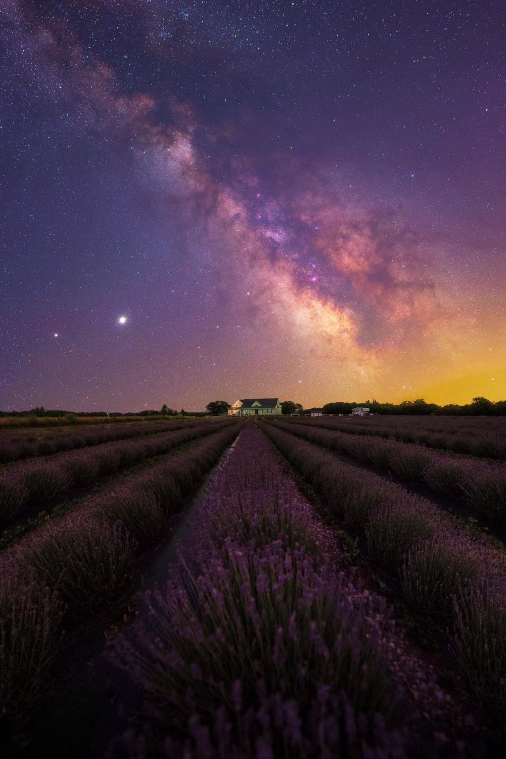 Milky Way over a lavender field in Ontario, Canada.