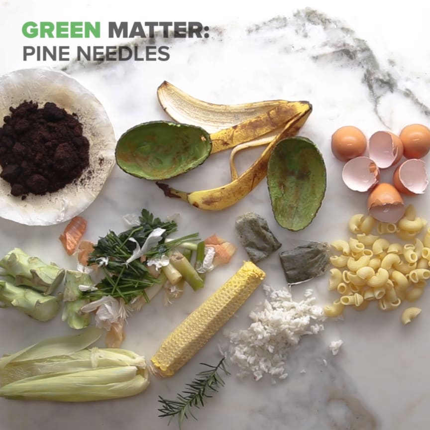 2.7M views · 16K reactions | ♻️ Composting 101♻️ Shop our favorite ...