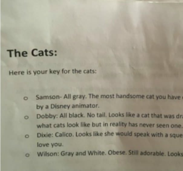 Cat Mom Leaves The Funniest Detailed Description Of Her Cats To Pet Sitter
