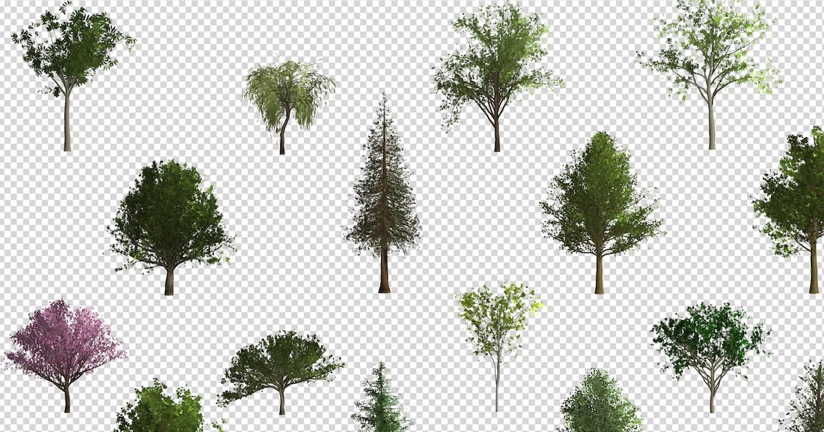 In bloom: the secret history of the 3D-rendered trees of Photoshop