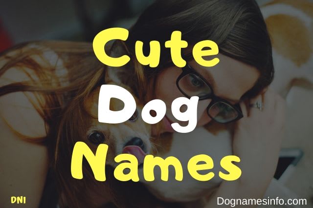 Unique Cute Dog Names - Over 200 Popular Ideas to Naming Your Puppy