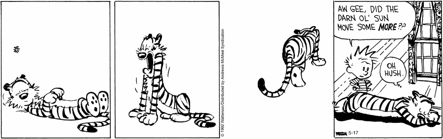 Calvin & Hobbes for May 17, 2022