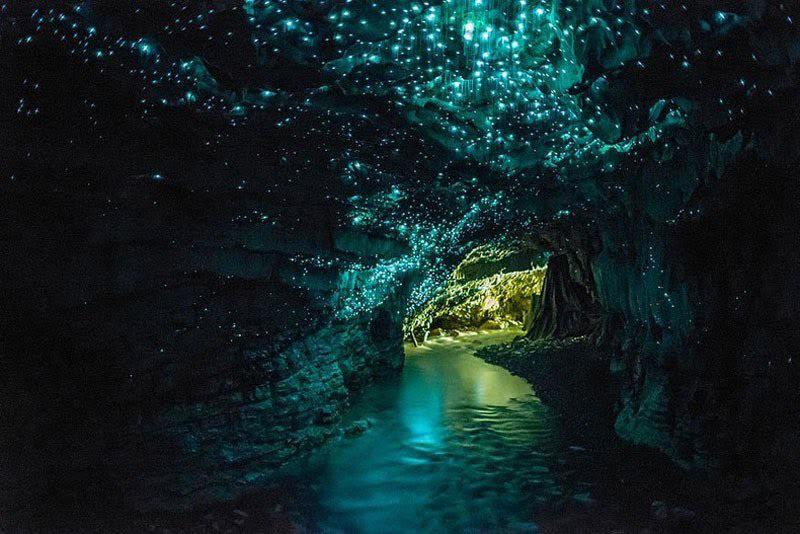 Waitomo Glowworm Caves in New Zealand