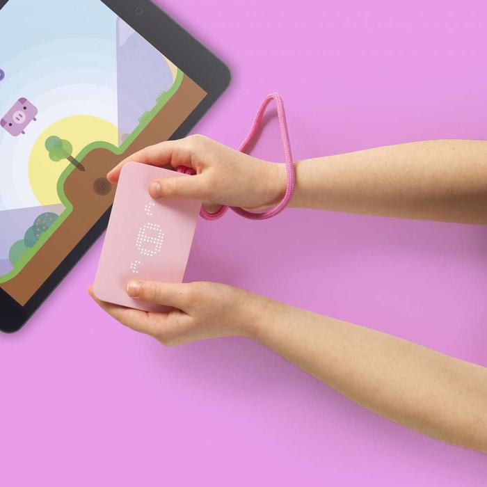 The Pigzbe Wallet Teaches Kids How to Budget and Save Money