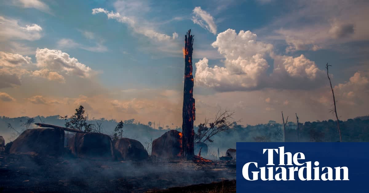 Amazon rainforest 'close to irreversible tipping point'