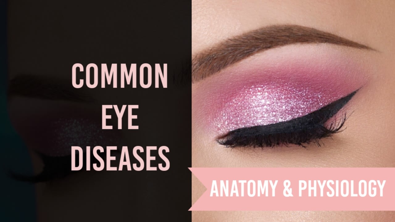 Common Eye Diseases: Anatomy and Physiology of Eye