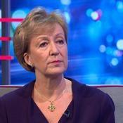 May will 'give everything she's got' to get Brexit plan through, says Leadsom