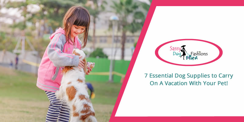 7 Essential Dog Supplies to Carry On a Vacation with Your Pet!