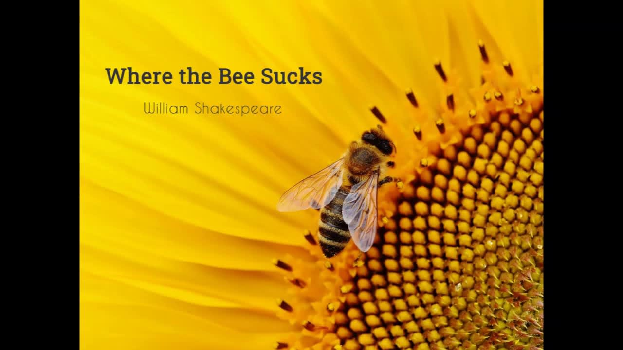 Where the Bee Sucks by WILLIAM SHAKESPEARE - FULL AudioBook - Free AudioBooks