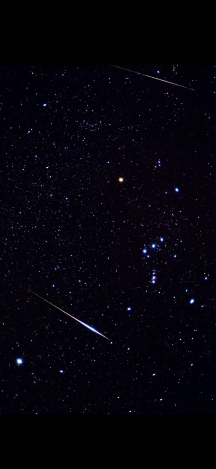 Perseids and Orion on film