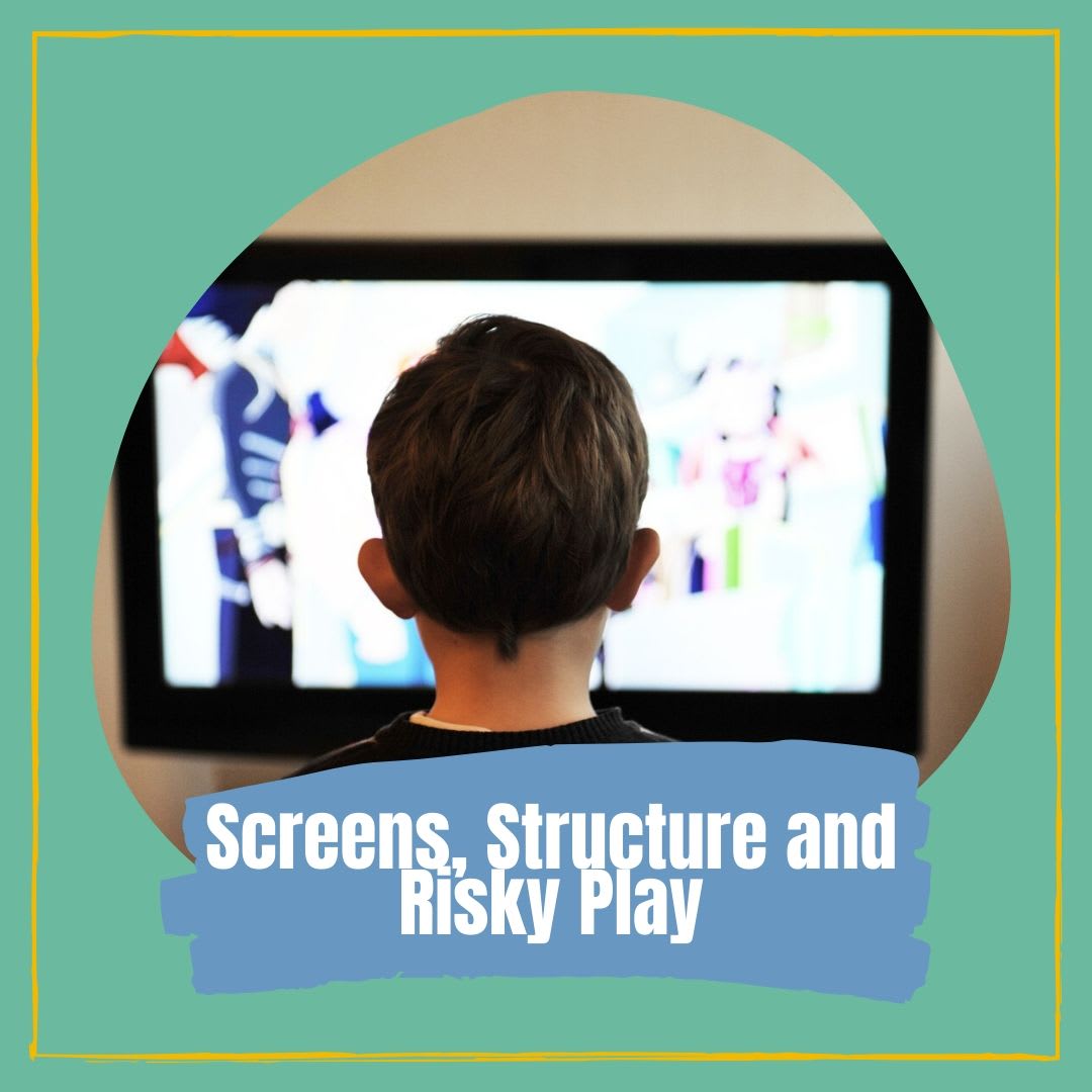 Developmental Digest #1 - Screens, Structure And Risky play - Their effects on child development