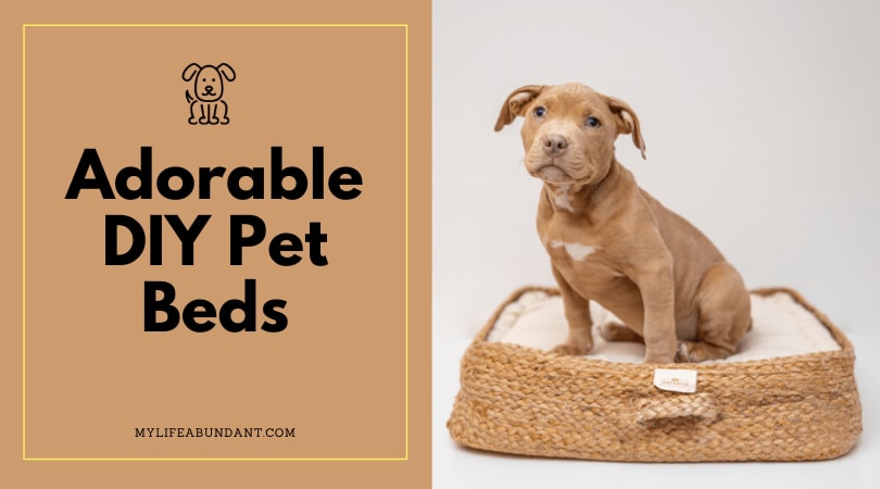 Adorable DIY Pet Beds