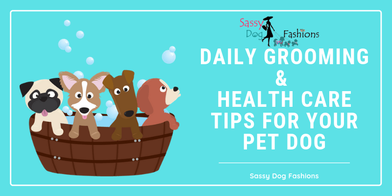 Daily Grooming & Health Care Tips For Your Pet Dog