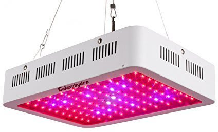 Top 7 best 300W Led Grow light Review For Your plants