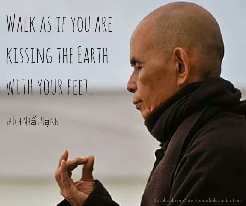 Pin by Kimberly on ॐ Buddhism(Zen) ॐ | Thich nhat hanh, Positive inspiration, Love your life