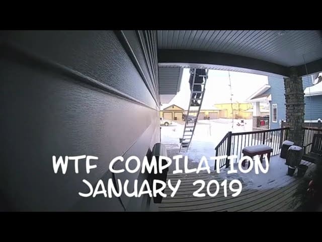 WTF Compilation January 2019