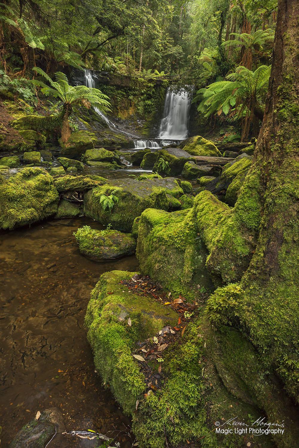 The beautiful and serene Horseshoe Falls in Mt Field National Park in Tasmania, Australia.