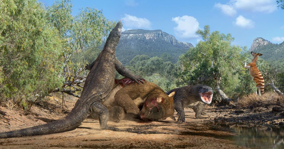 Scientists trace the doom of ancient super-sized kangaroos, wombats and crocs