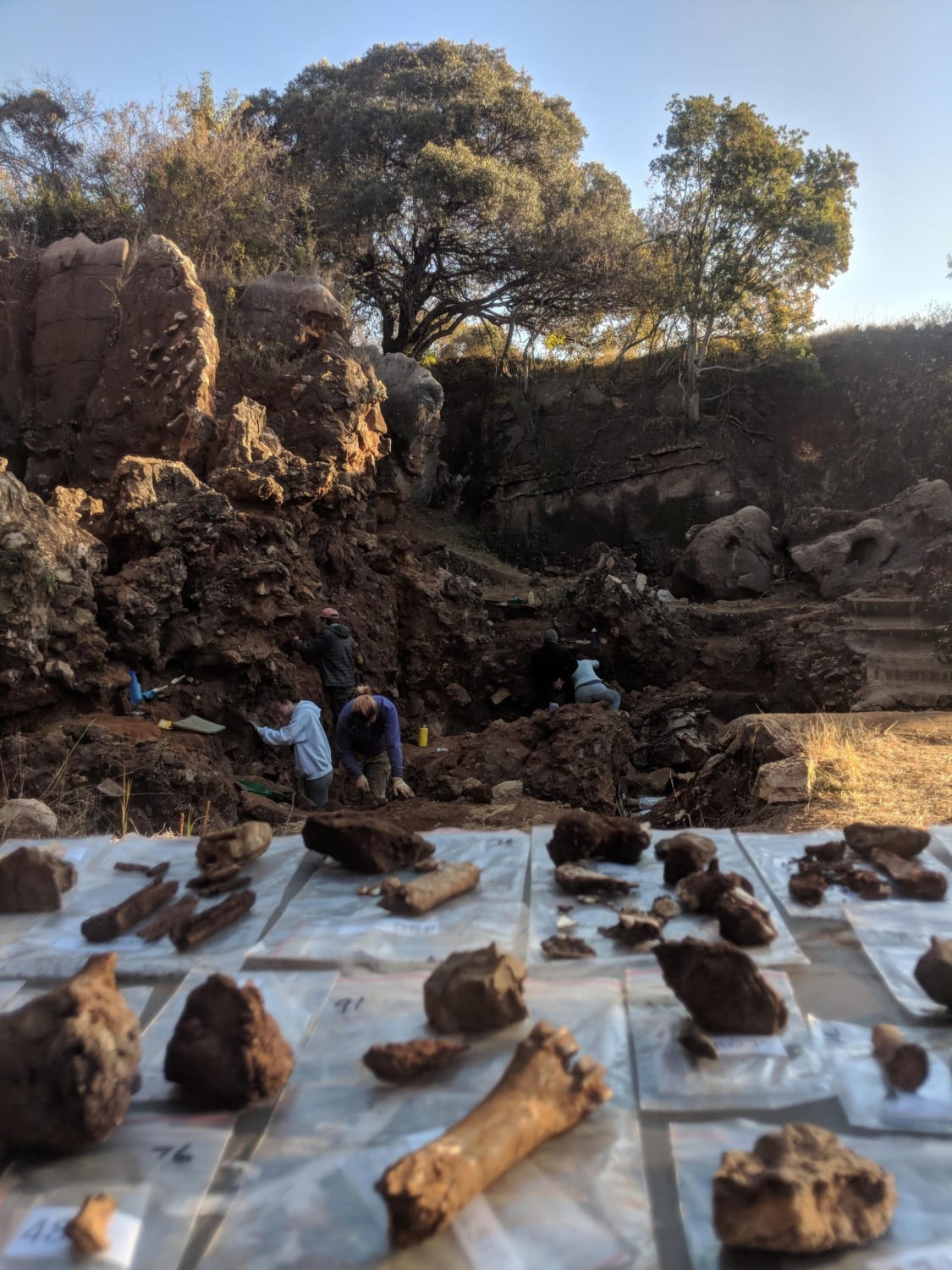 In Groundbreaking Find, Three Kinds of Early Humans Unearthed Living Together in South Africa