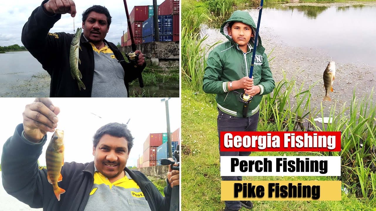Pike and Perch Fishing II Lake Fishing II മീൻ പിടുത്തം II Nadan Meen Pidutham II Indian Fishing