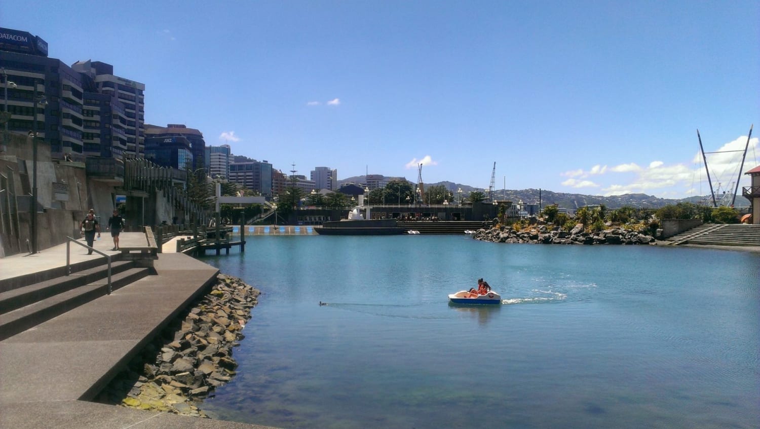 50 Things to do in Wellington for Free