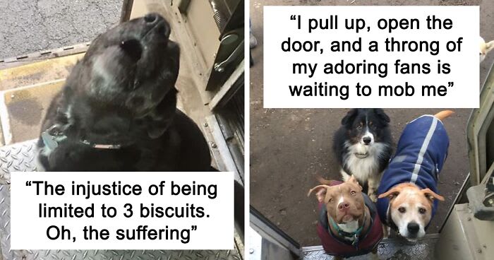 UPS Driver Captures The Cutest ‘Clients’ He Meets On Routes, And People Can’t Get Enough (30 Pics)