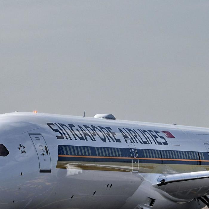 A bird found on Singapore Airlines flight to London ruffles some feathers on board