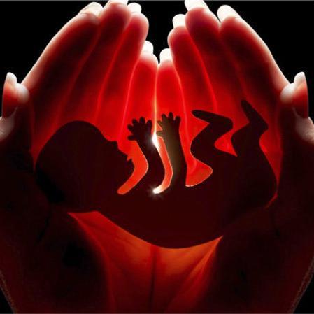 Unknown Facts, Types and Myths of Abortion Procedure