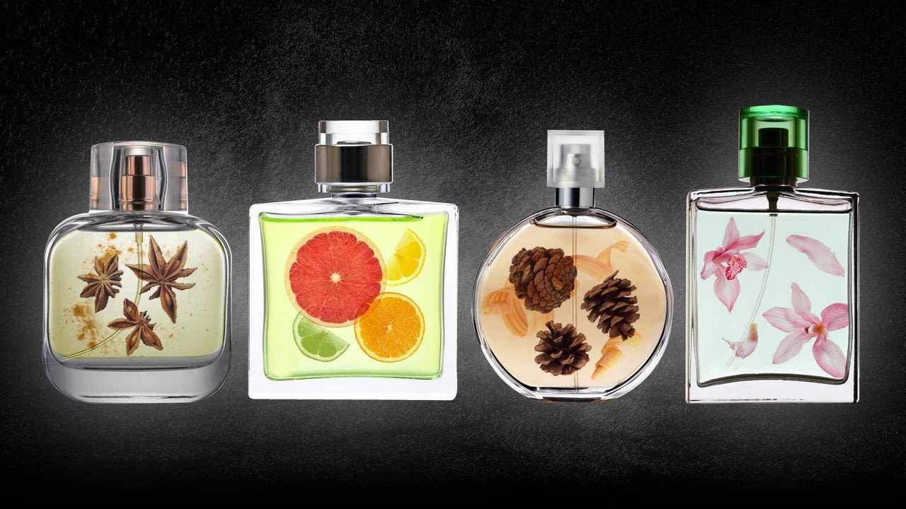The Best Cologne from Each Fragrance Family