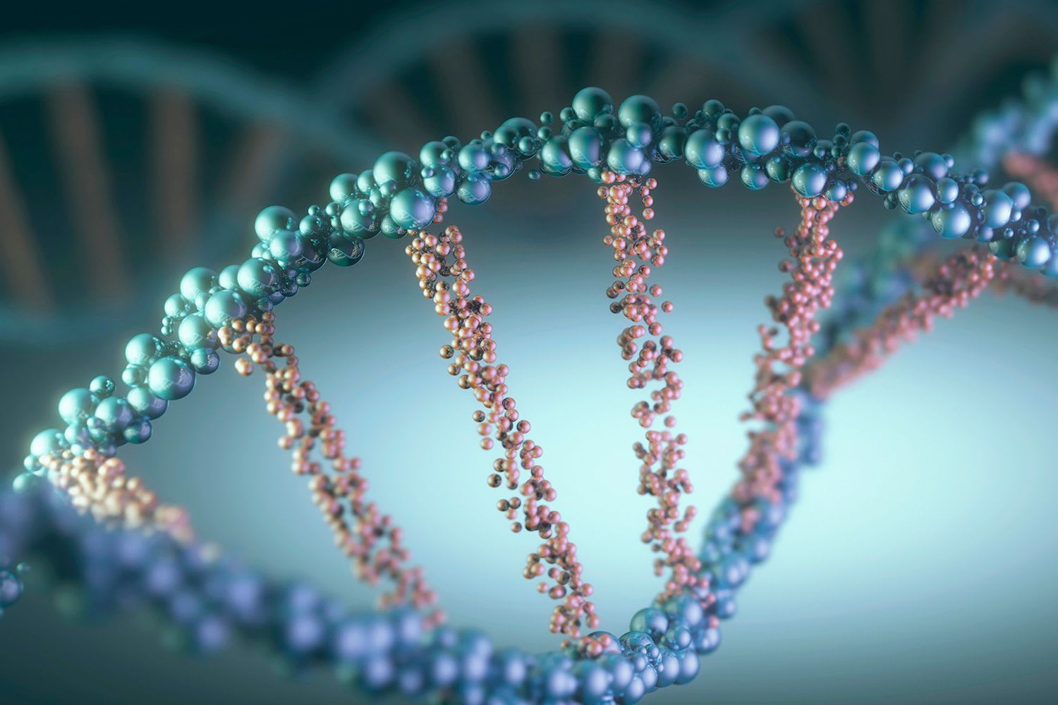 10 Interesting DNA Facts