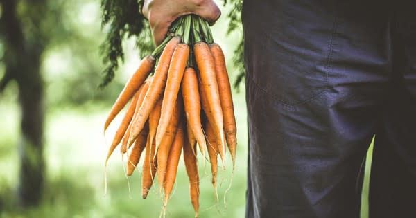 5 simple steps for soil-friendly eating