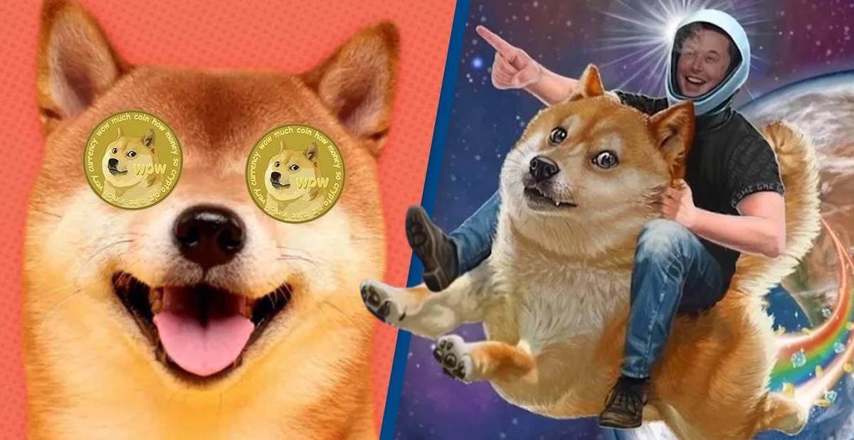 Will Dogecoin Crash? How To Buy And Latest Price