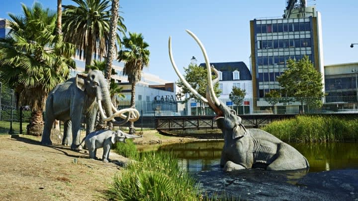 10 Fascinating Facts About the La Brea Tar Pits