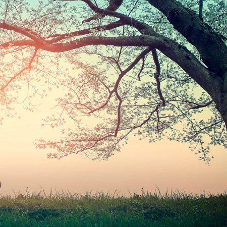 10 Things Mentally Strong People Give Up to Gain Inner Peace