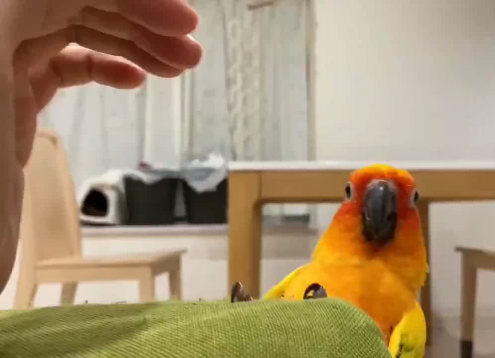 The magical moment he realizes the hand belongs to friend not foe